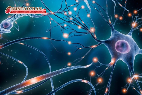 Phát triển tế bào gốc thần kinh là hướng đi tiềm năng trong nghiên cứu điều trị bệnh Parkinson